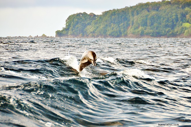 11 aventures essentielles au Costa Rica qui nous font revenir pour plus 